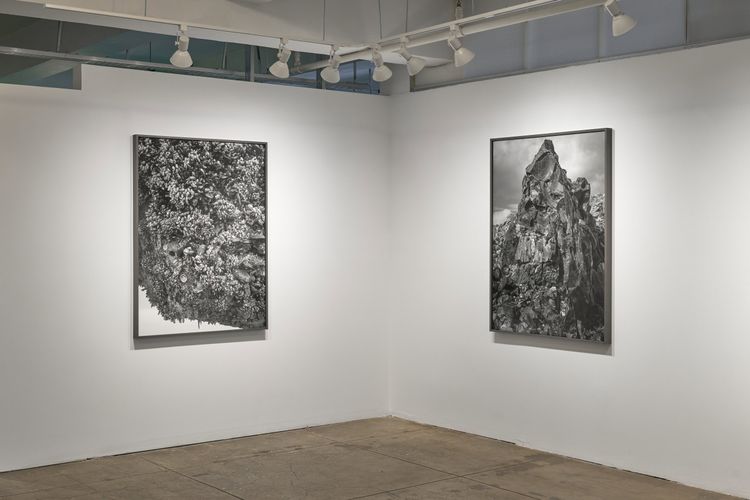 Installation view, Low Tide, Gallery Luisotti · 2026 (7)