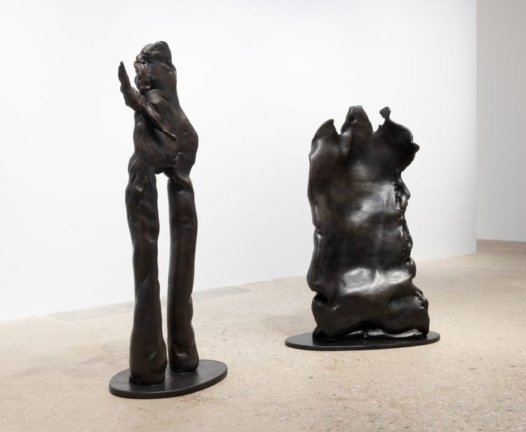 Installation view, The Primeval Forest, Greene Naftali