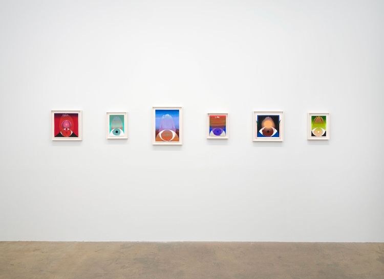 Installation view, Spotlight: Brittney Leeanne Williams, Vielmetter · 2026 (3)