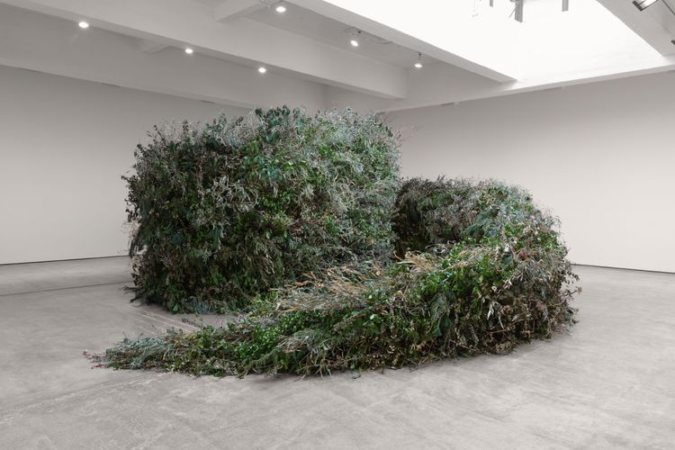 Installation view, Thicket, Paula Cooper, 521 W 21st Street · 2026 (1)
