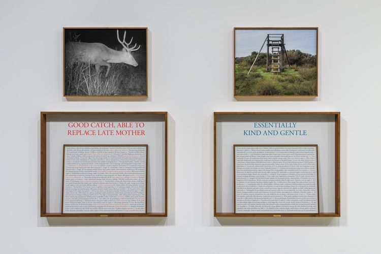 Installation view, On The Hunt, Paula Cooper, 534 W 21st Street