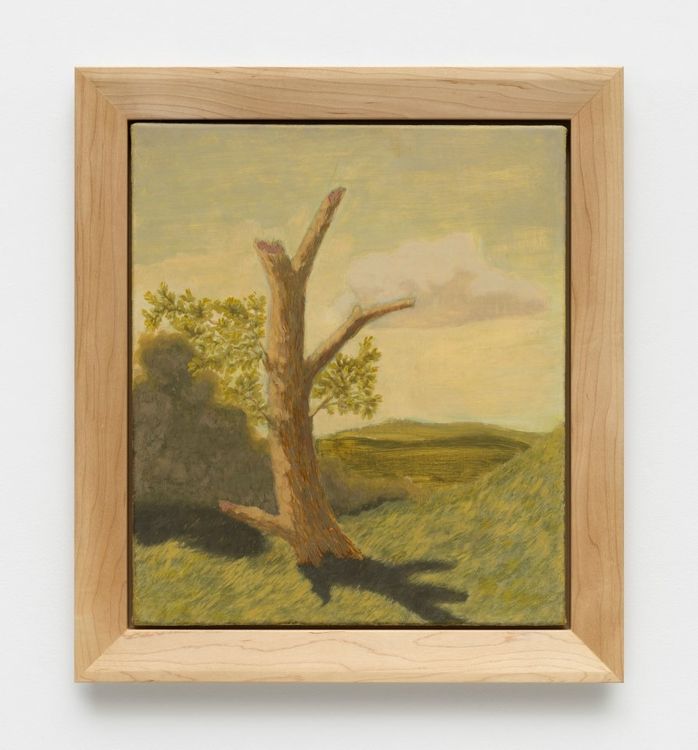 Installation view, Continent of Misbelief, David Kordansky Gallery, Chelsea