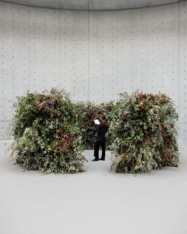Installation view, Thicket, Paula Cooper, 521 W 21st Street · 2026 (3)