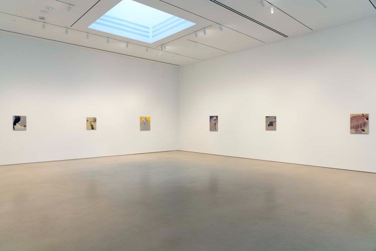 Installation view, Premonitions, Petzel Gallery · 2025 (1)