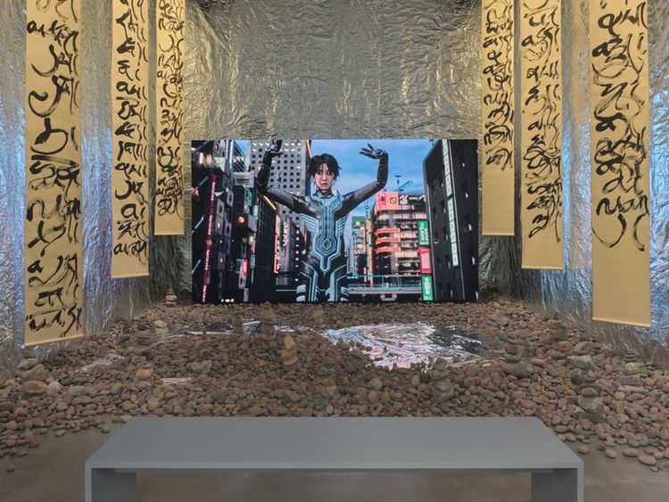 Installation view, DOKU! DOKU! DOKU!: samsara.exe, Amant · 2025 (9)