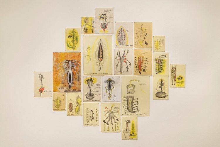 Installation view, The Awake Volcanoes, Institute of Contemporary Art · 2025 (3)