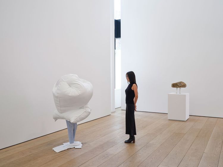 Installation view, Double Dream, Lehmann Maupin, New York · 2026 (4)