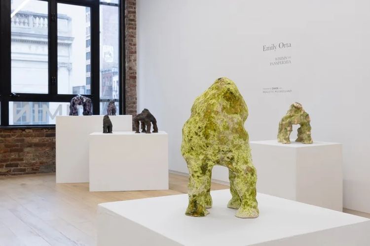 Installation view, Whims of Panspermia, DIMIN · 2026 (6)
