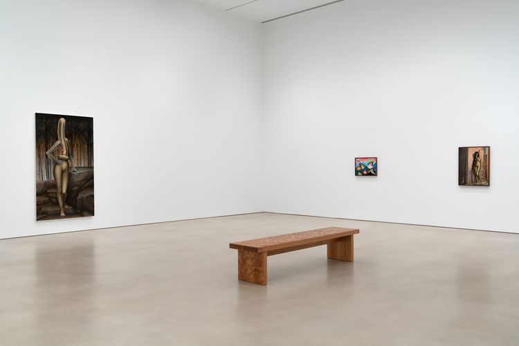 Installation view, Transit of Venus, Petzel Gallery · 2026 (4)