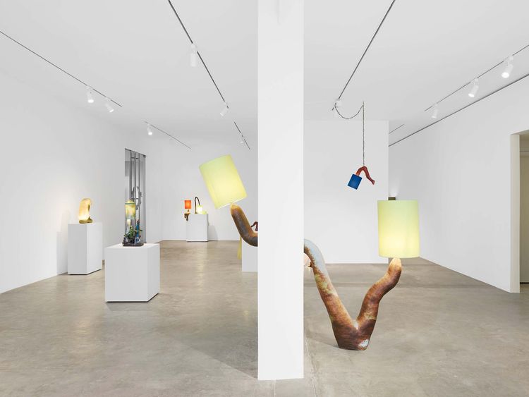 Installation view, Salut, Ça va,, Friedman Benda · 2025 (1)