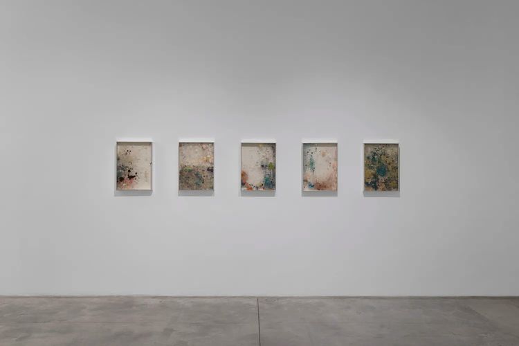 Installation view, Our Spring, Tina Kim Gallery · 2026 (5)