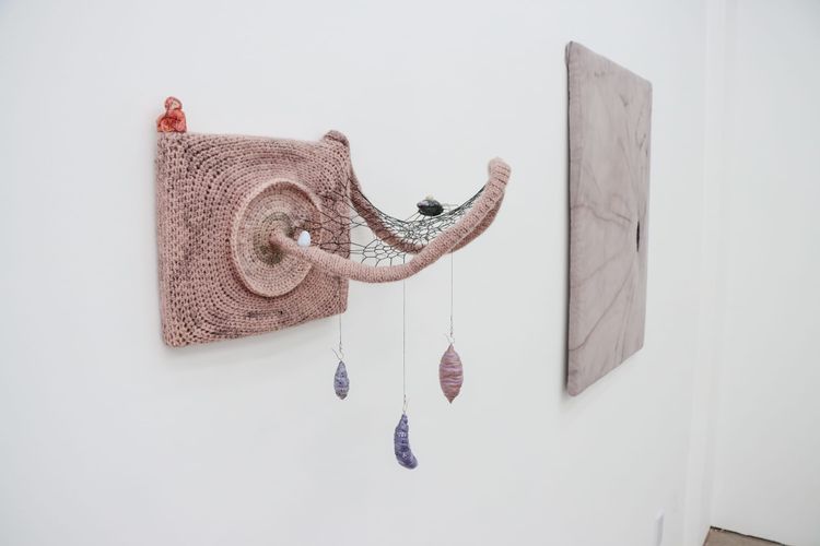 Installation view, Synnecrosis, DON'T LOOK Projects · 2026 (1)