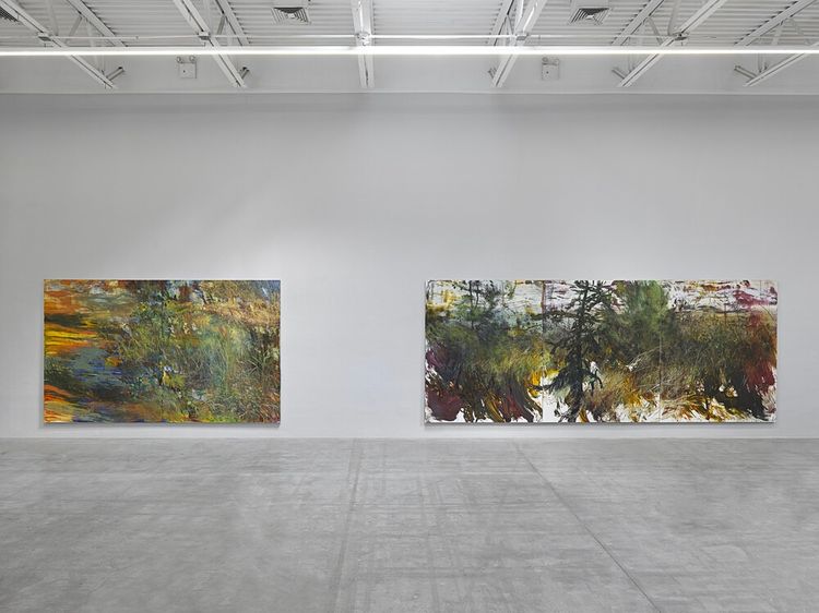 Installation view, Landscapes, Jeffrey Deitch, Wooster Street · 2026 (6)