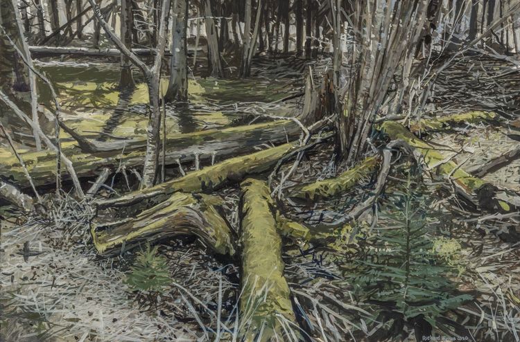 Installation view, Acadia, Schoelkopf Gallery
