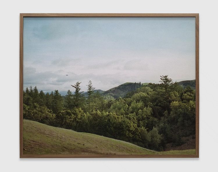 Installation view, Cardinals, Pace