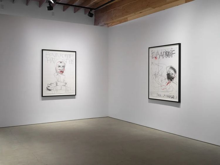 Installation view, CSSC, Coach Stage Stage Coach, A&E, Adolf/Adam & Eva/Eve, Samples, The Journal Gallery · 2026 (3)