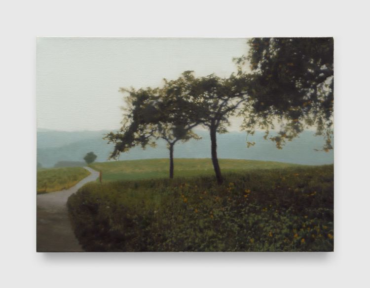 Installation view, Landschaften, David Zwirner, 537 West 20th Street · 2026 (21)