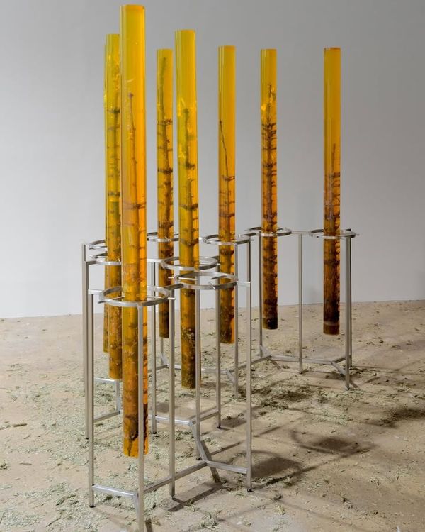 Installation view, Außerkörperliche Erfahrung: Wandering Spirit, Management