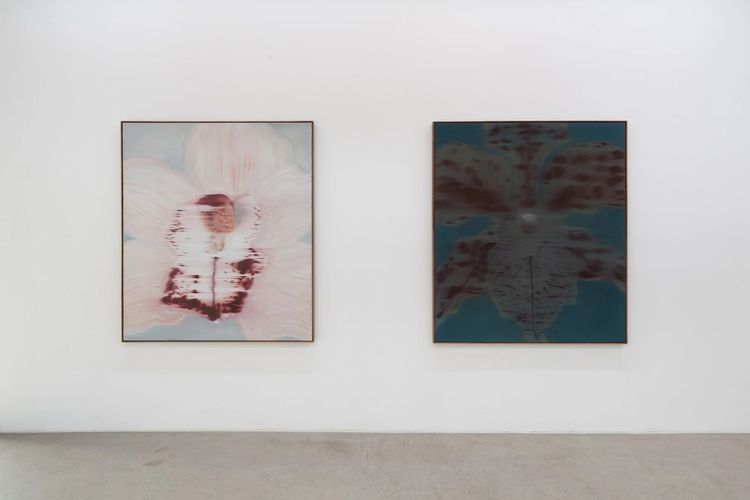 Installation view, Mineral Meridian, Carvalho, 112 Waterbury · 2026 (2)