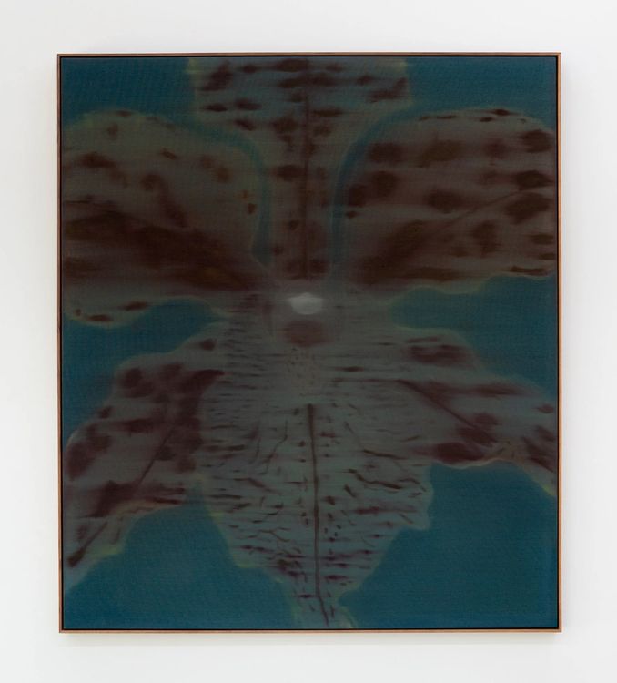 Installation view, Mineral Meridian, Carvalho, 112 Waterbury · 2026 (16)