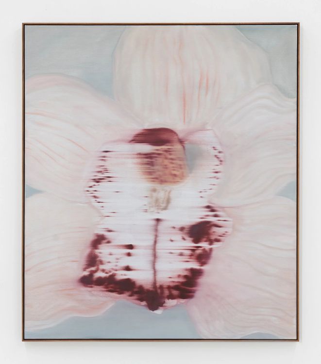 Installation view, Mineral Meridian, Carvalho, 112 Waterbury · 2026 (15)