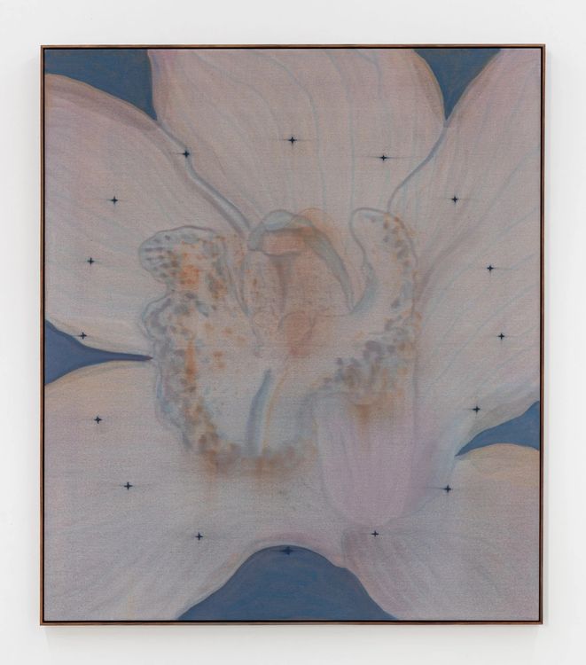 Installation view, Mineral Meridian, Carvalho, 112 Waterbury · 2026 (18)