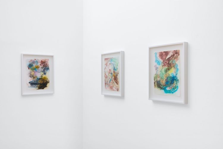 Installation view, Liminal Reveries, Andrew Rafacz Gallery · 2026 (2)