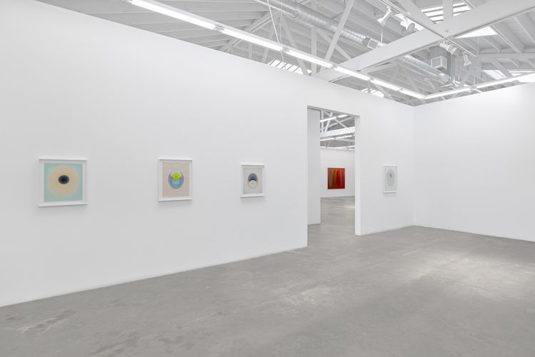 Installation view, The Drops, Luis De Jesus Los Angeles · 2026 (17)
