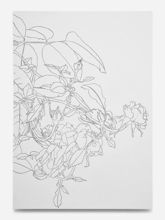 Installation view, Drawings and Paintings, Bortolami, 39 Walker · 2026 (13)