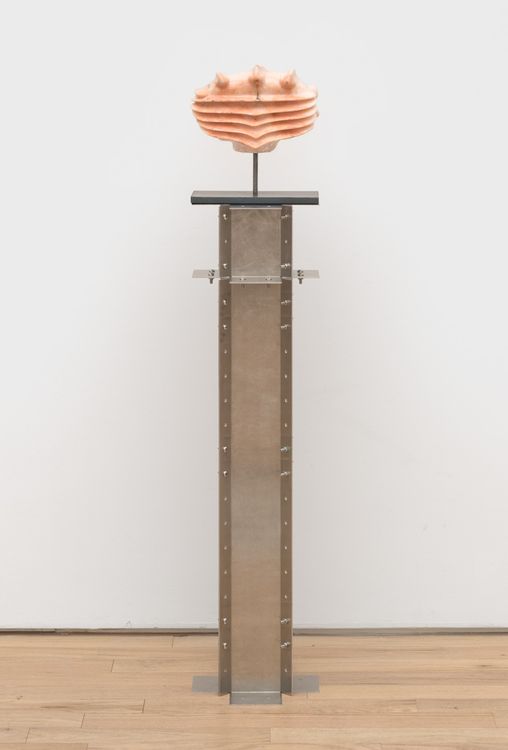 Installation view, Leech, Nicelle Beauchene · 2026 (12)