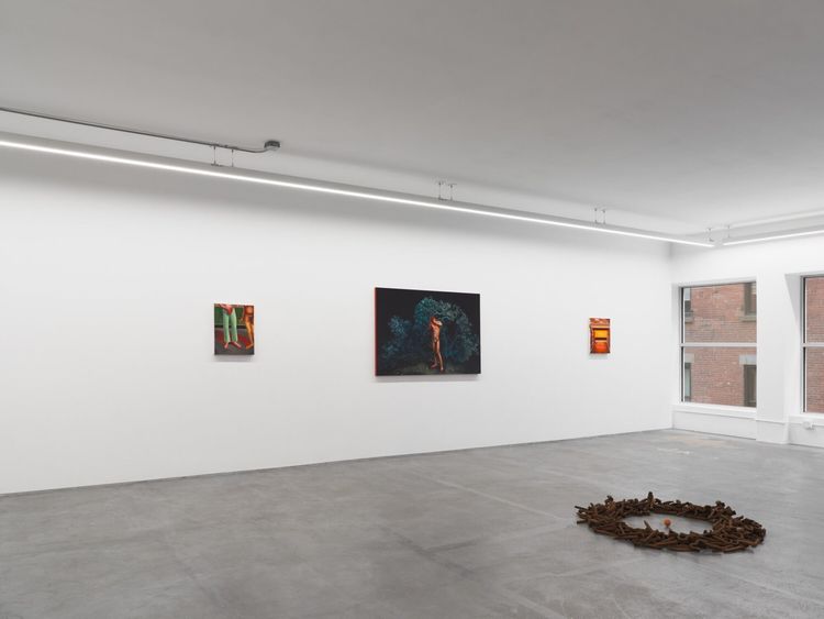 Installation view, Solastalgia, Anat Ebgi