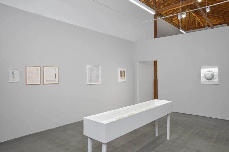 Installation view, Evolving Systems, François Ghebaly · 2025 (5)