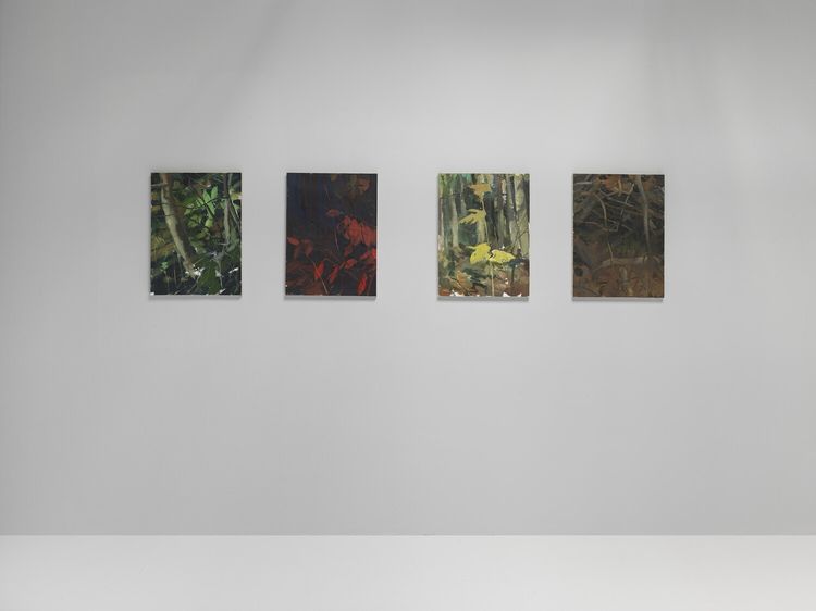 Installation view, Landscapes, Jeffrey Deitch, Wooster Street · 2026 (2)