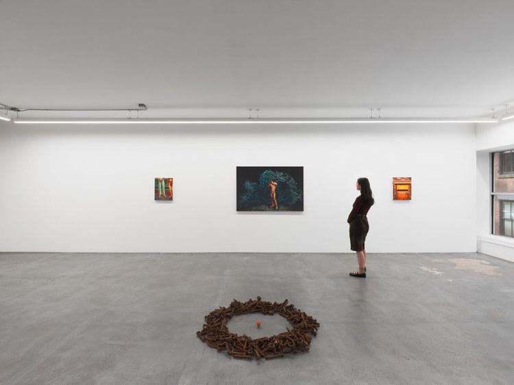 Installation view, Solastalgia, Anat Ebgi · 2026 (3)