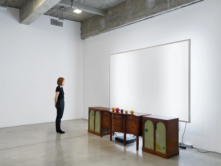 Installation view, Falling Water Given, Tanya Bonakdar Gallery, New York · 2026 (5)