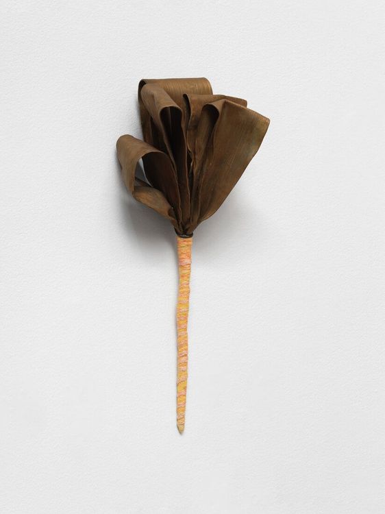 Installation view, Retrieval, Paula Cooper, 521 W 21st Street · 2025 (15)