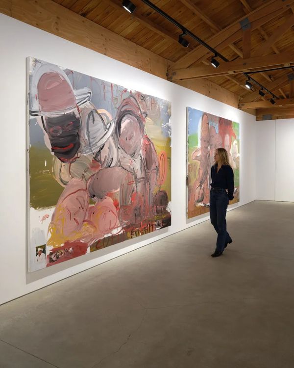 Installation view, CSSC, Coach Stage Stage Coach, A&E, Adolf/Adam & Eva/Eve, Samples, The Journal Gallery · 2026 (6)