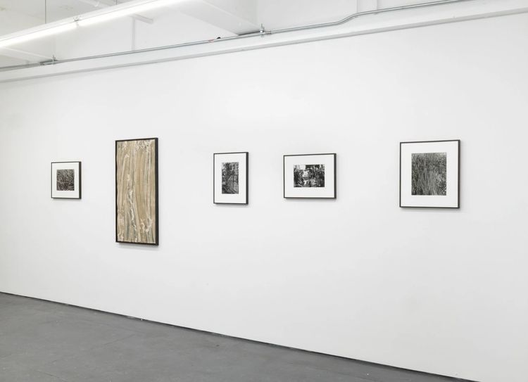 Installation view, Angle of Incidence, Transmitter · 2026 (3)