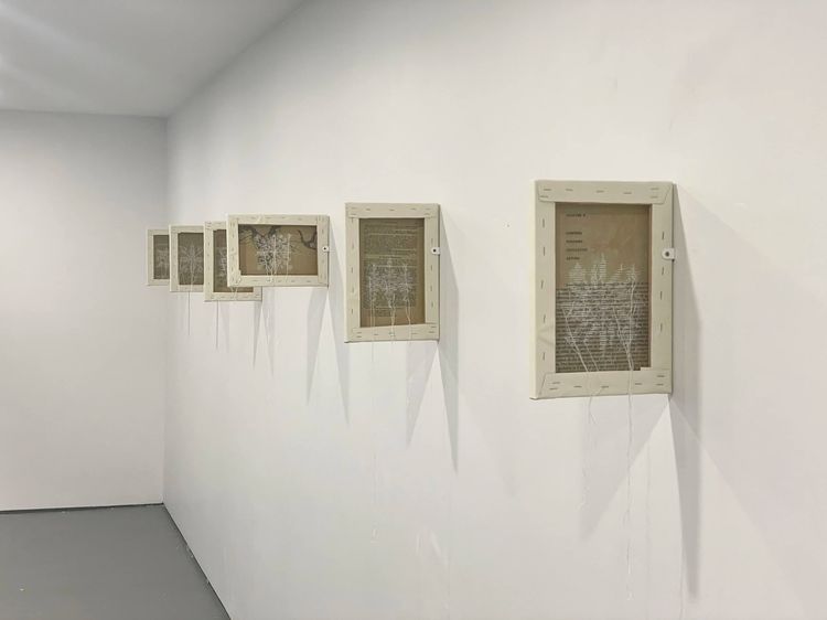 Installation view, Mapping Snail, Nunu Fine Art · 2025 (2)