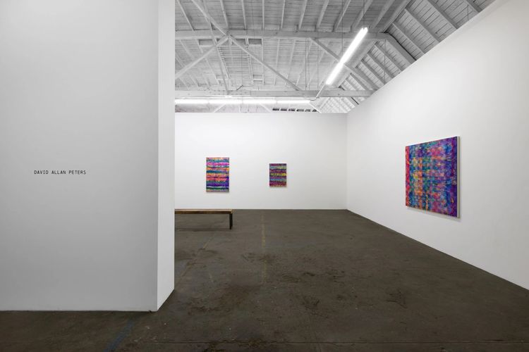 Installation view, David Allan Peters, Royale Projects · 2025 (2)