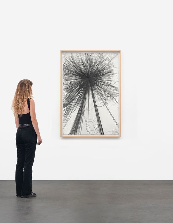 Installation view, Atropa, Sprüth Magers, New York · 2026 (9)