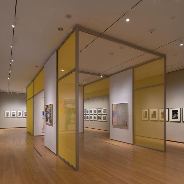Installation view, Pictures from the Real World, Museum of the City of New York · 2025 (2)
