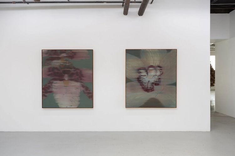 Installation view, Mineral Meridian, Carvalho, 112 Waterbury · 2026 (1)