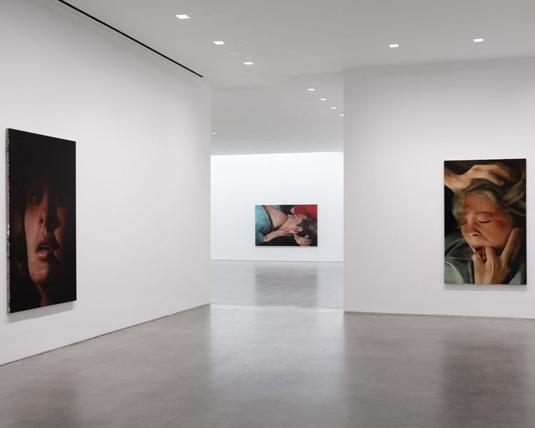 Installation view, Agita, Gladstone Gallery, 515 W 24th Street · 2026 (4)