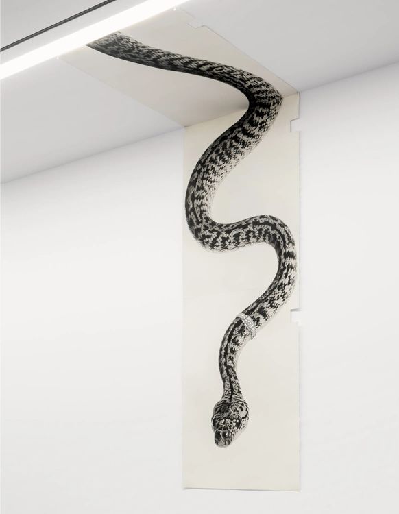 Installation view, Glass half, Vielmetter · 2026 (26)