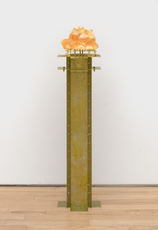 Installation view, Leech, Nicelle Beauchene · 2026 (9)