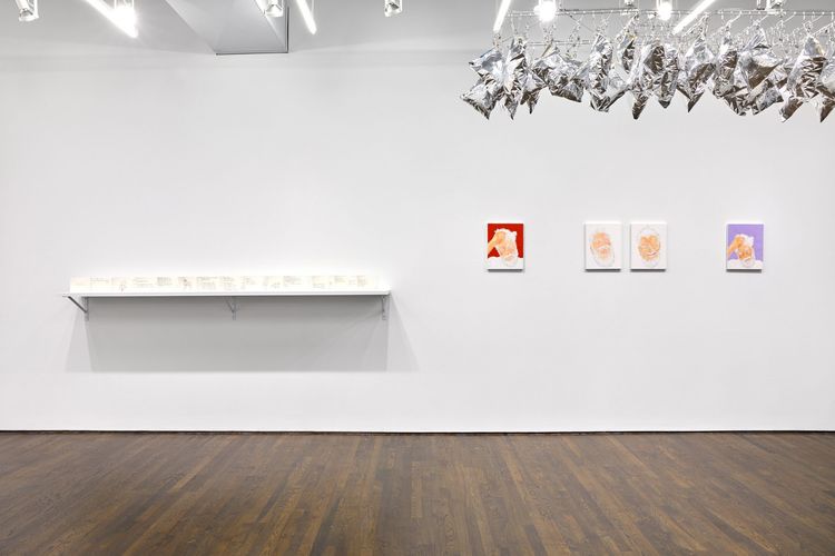 Installation view, Mieko Meguro Works, New York, 2009-2026, White Columns · 2026 (3)