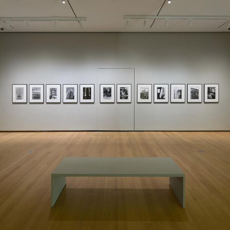 Installation view, Pictures from the Real World, Museum of the City of New York · 2025 (3)