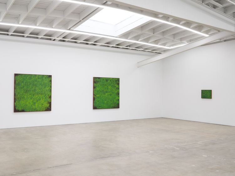 Installation view, Calvin Marcus, Karma Gallery · 2025 (3)