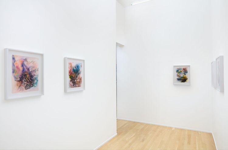 Installation view, Liminal Reveries, Andrew Rafacz Gallery · 2026 (3)